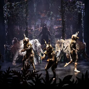 The Jungle Book. Photo: Jakub Červenka.