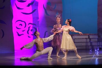The Sleeping Beauty Or How To (Not) Stage A Ballet