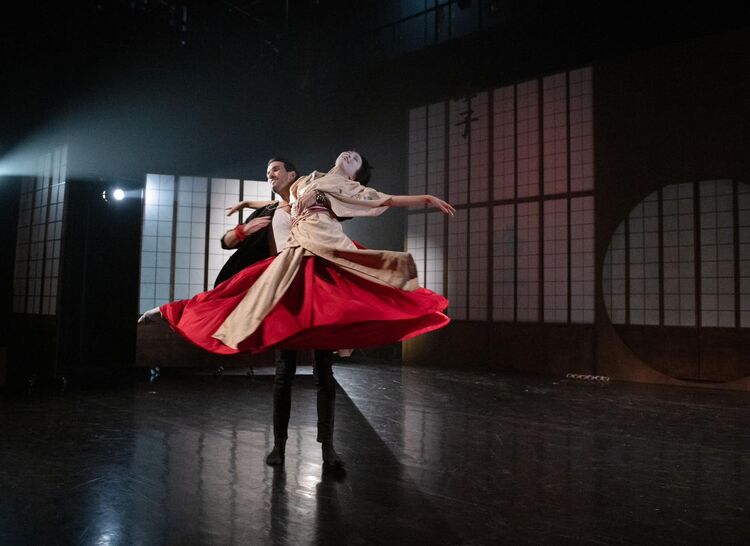 Geiko. Foto: Irena Štěrbová.