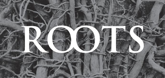Slovenské Divadlo Štúdio tanca chystá novou premiéru Roots