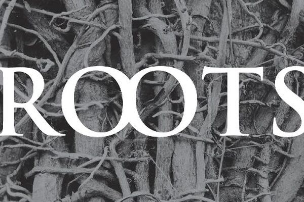 Slovenské Divadlo Štúdio tanca chystá novou premiéru Roots