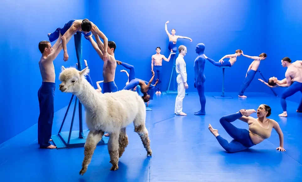Dive-Scottish Ballet dancers in Di…ane. Foto: Andy Ross