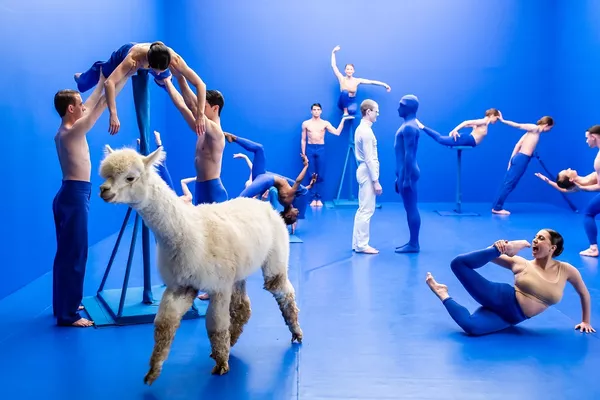 Dive-Scottish Ballet dancers in Di…ane. Foto: Andy Ross