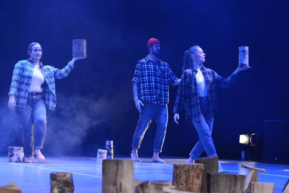 Divoké husy. FyzioART a MOVE Ostrava.