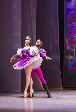 Louskáček. Balet SDO. Foto: archiv SDO.