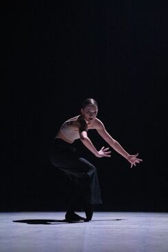 A Healthy Dose of Madness. NdB2. Foto: Arthur Abram.