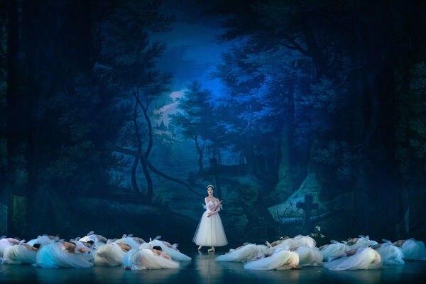 Giselle. Balet Národního divadla Brno. Foto: Pavel Hejný. 