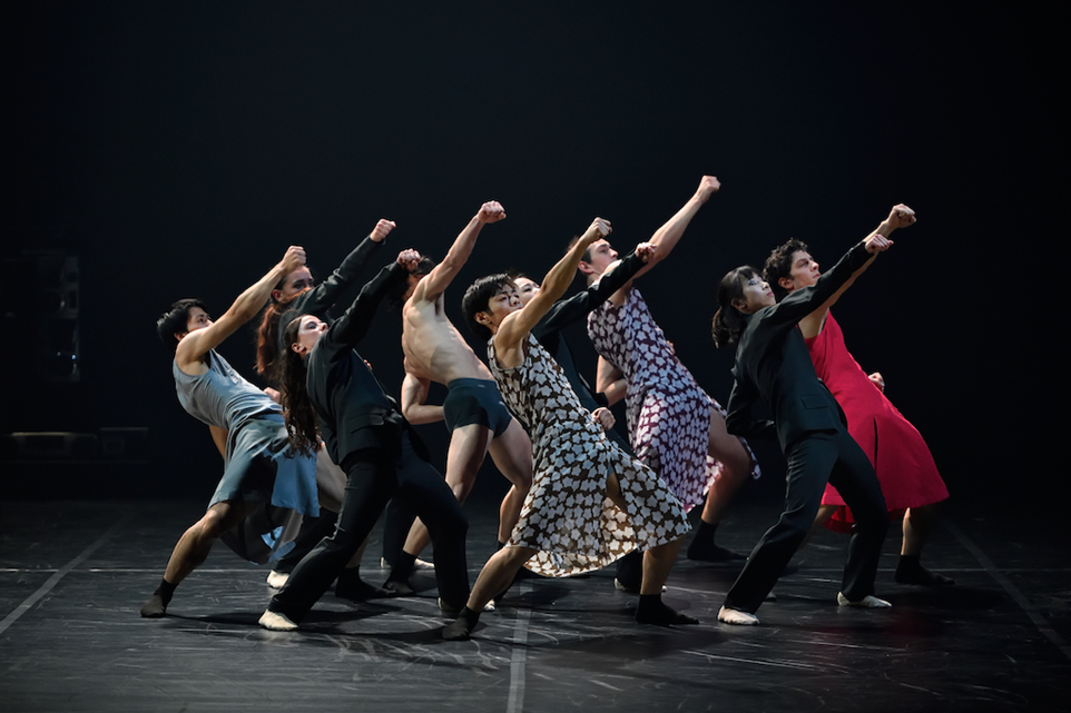 Rain Dogs. Foto: Martin Popelář.