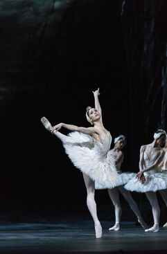 Labutí jezero (Marianela Nunez). Foto: Bill Cooper.