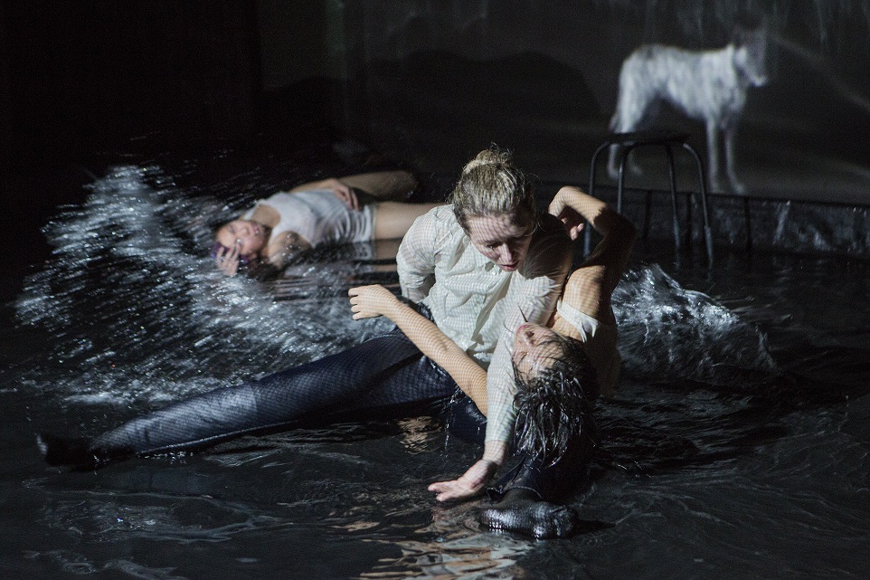 Odtržení. Foto: Miroslav Chaloupka Odtržení. Foto: Miroslav Chaloupka