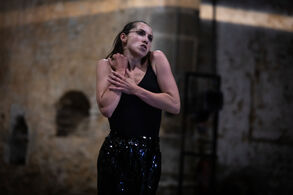 Swan lake solo. Foto: Nicolas Joubard.