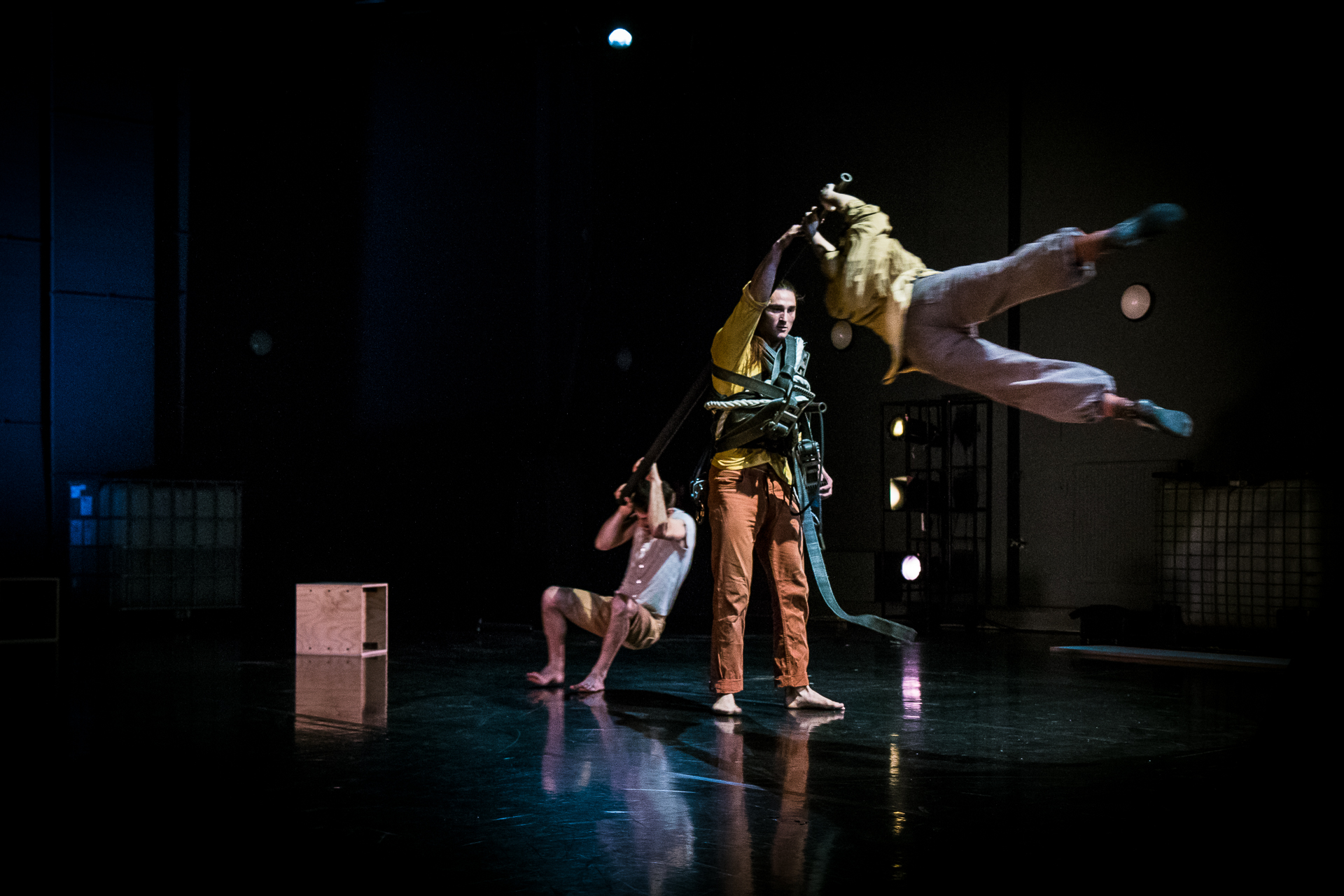 cirkus summarum 2019 cirkus summarum 2019