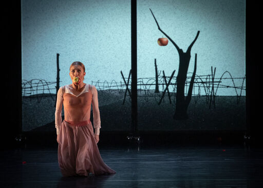The Royal Ballet Fehérvár. Fantomová bolest. Zdroj: archiv The Royal Ballet Fehérvár.