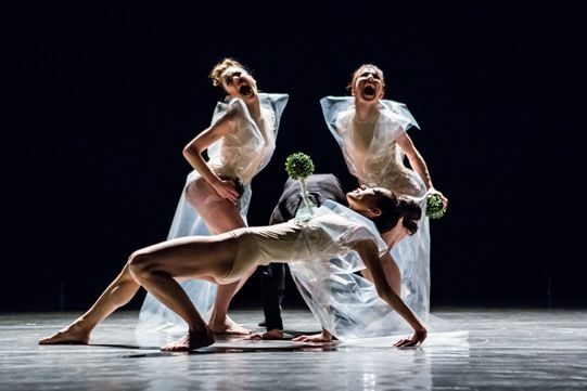 Poslední večeře – nová baletní gansterka se představí divákům v polovině září
