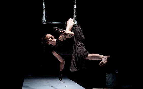 Průvodce tancem: Sněhová královna, Hezky česky, Směj se, pořád se směj! a politika v umění