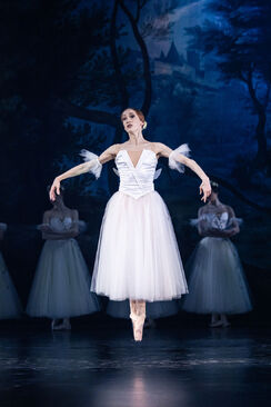 Giselle. Balet Národního divadla Brno. Foto: Pavel Hejný. 