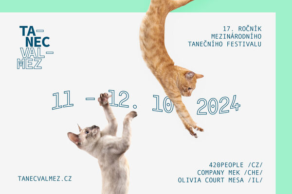 TANECVALMEZ 2024 nabídne nový pohled na současné dění