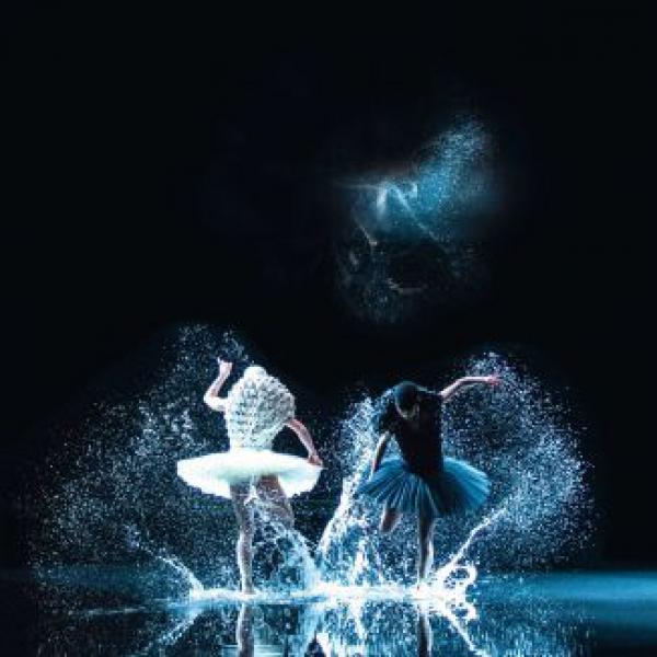 Labutí jezero, choreografie Alexander Ekman. Foto: Česká televize.