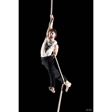 Les choix tremblants – Cirkus Nevkus. Daniel Kvašňovský. 