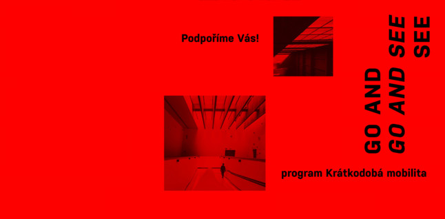 Go and See - program na podporu krátkodobé mobility 2020/2021 nabízí v souvislosti s epidemií COVID-19 nové možnosti