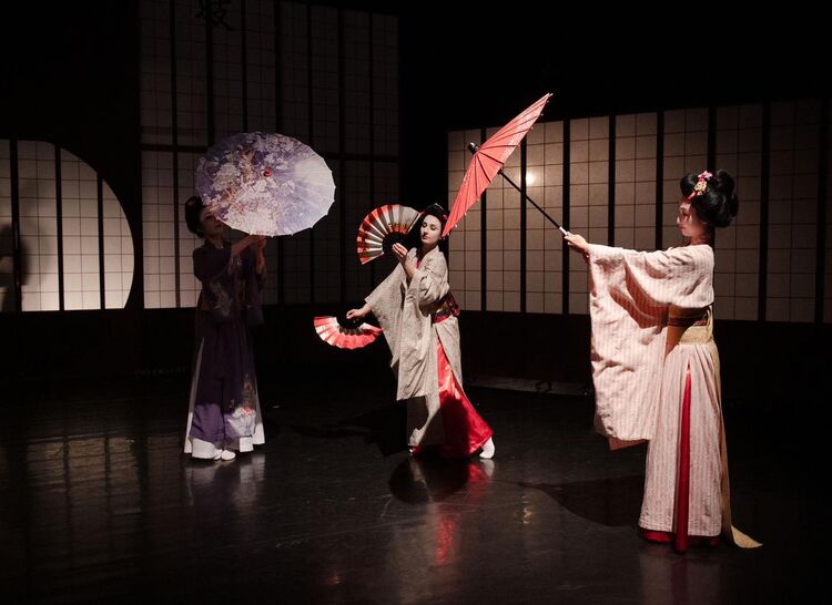 Geiko. Foto: Irena Štěrbová.