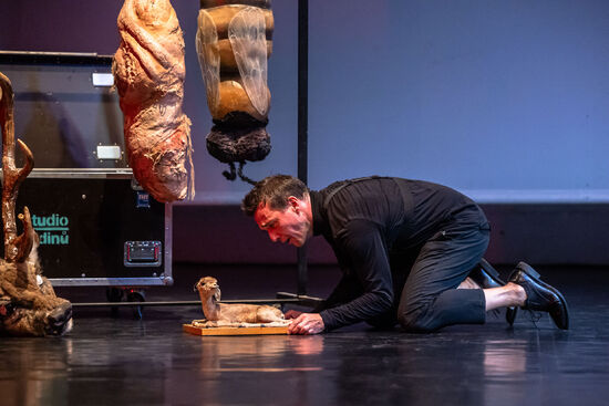 HIT. Jan Bárta. Foto: Tomáš Hejzlar. 