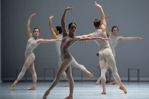 The Second Detail (Balet ND)