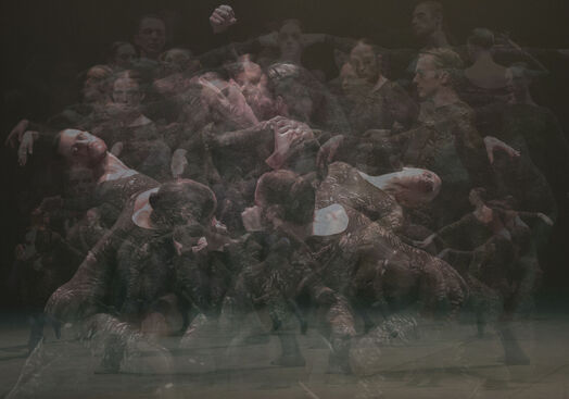 Into the Hairy. L-E-V Dance Company. Foto: Katerina Jebb.