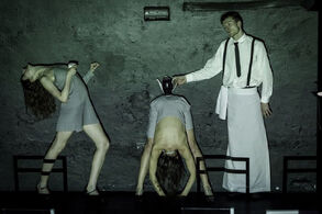 Krevety á la Indigo. Zdroj: Web www.spitfirecompany.cz