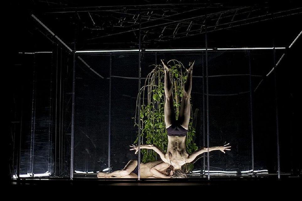 Animal Exitus. Zdroj: Web www.spitfirecompany.cz