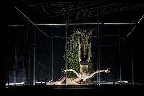 Animal Exitus. Zdroj: Web www.spitfirecompany.cz