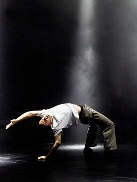 Next Place. Balet Jihočeského divadla: Paolo Terranova. Foto: Petr Zikmund. 