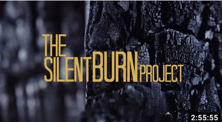 Akram Khan: The Silent Burn Project