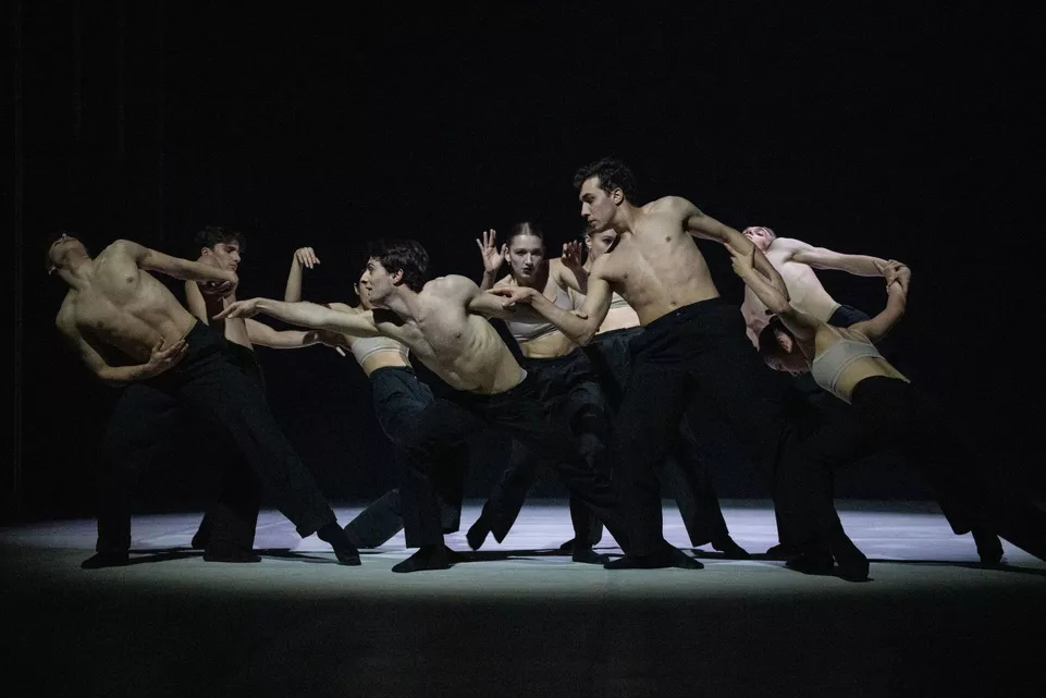 A Healthy Dose of Madness. NdB2. Foto: Arthur Abram.