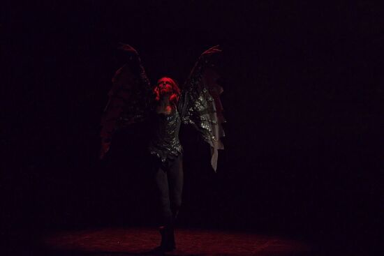Labutí jezero. Balet divadla města Ústí nad Labem. Foto: Marek Russ. 