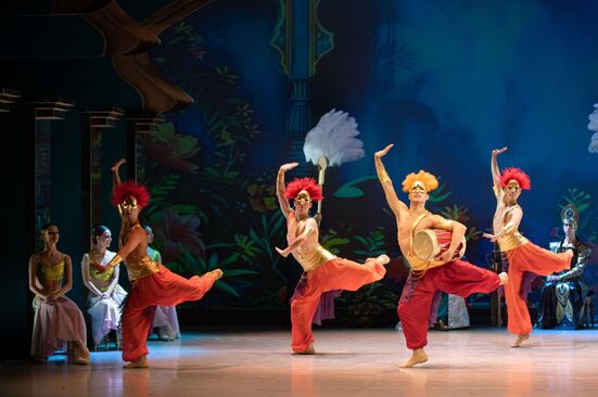 La Bayadère. Balet DJKT v Plzni. Foto: Irena Štěrbová.