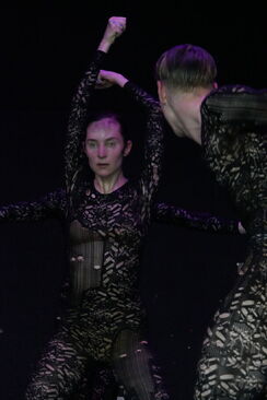 Into the Hairy. L-E-V Dance Company. Foto: Katerina Jebb.