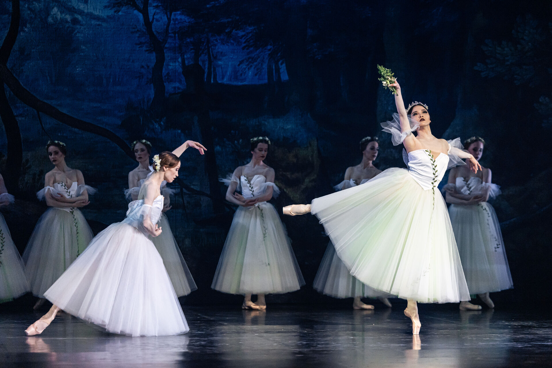 Giselle. Balet Národního divadla Brno. Foto: Pavel Hejný.