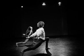 Festival Nová generace podruhé ve Studiu ALTA