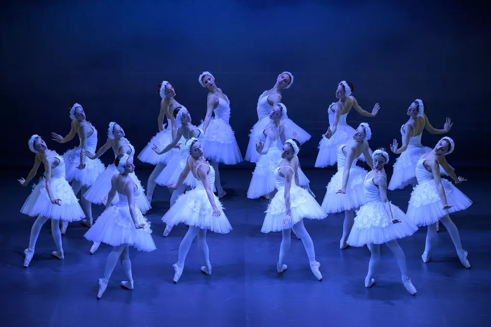 Labutí jezero, choreografie Yuri Vàmos. Balet Národního divadla moravskoslezského. Foto: Sergei Gherciu.