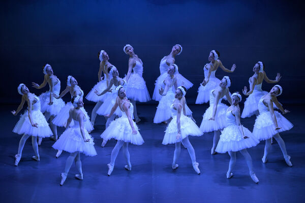 Labutí jezero, choreografie Yuri Vàmos. Balet Národního divadla moravskoslezského. Foto: Sergei Gherciu.