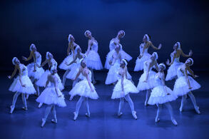 Labutí jezero, choreografie Yuri Vàmos. Balet Národního divadla moravskoslezského. Foto: Sergei Gherciu.