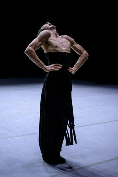 Avant-Garde. Lovebirds. Foto: Serghei Gherciu.