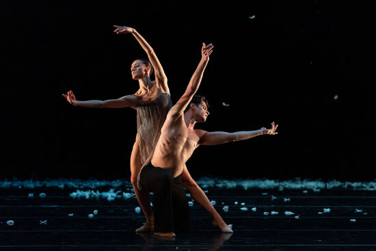 Murmaration. Ilinca Ducin, Andrea Schifano.