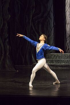 Labutí jezero. Balet divadla města Ústí nad Labem. Foto: Marek Russ. 