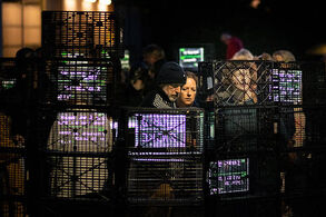 LUIT - Black Market na festivalu Passage 2019. Foto Karsten Piper.

