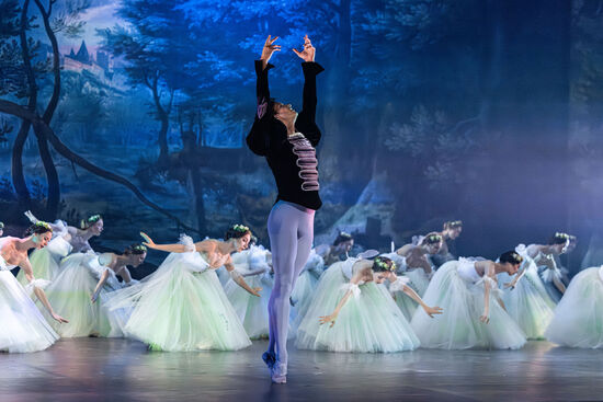 Giselle. Balet Národního divadla Brno. Foto: Pavel Hejný. 
