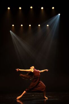 Program 8: Dispute. NdB 2. Foto: zdroj archiv NdB. 