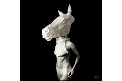 Profil koně (Human Locomotion). Foto Martin Beck.