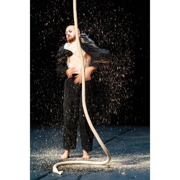 Les choix tremblants – Cirkus Nevkus. Daniel Kvašňovský. 